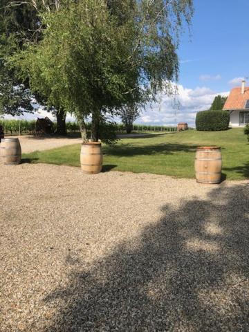 Gite Les Pins Perdus Saint-Ciers-d'Abzac Exteriör bild
