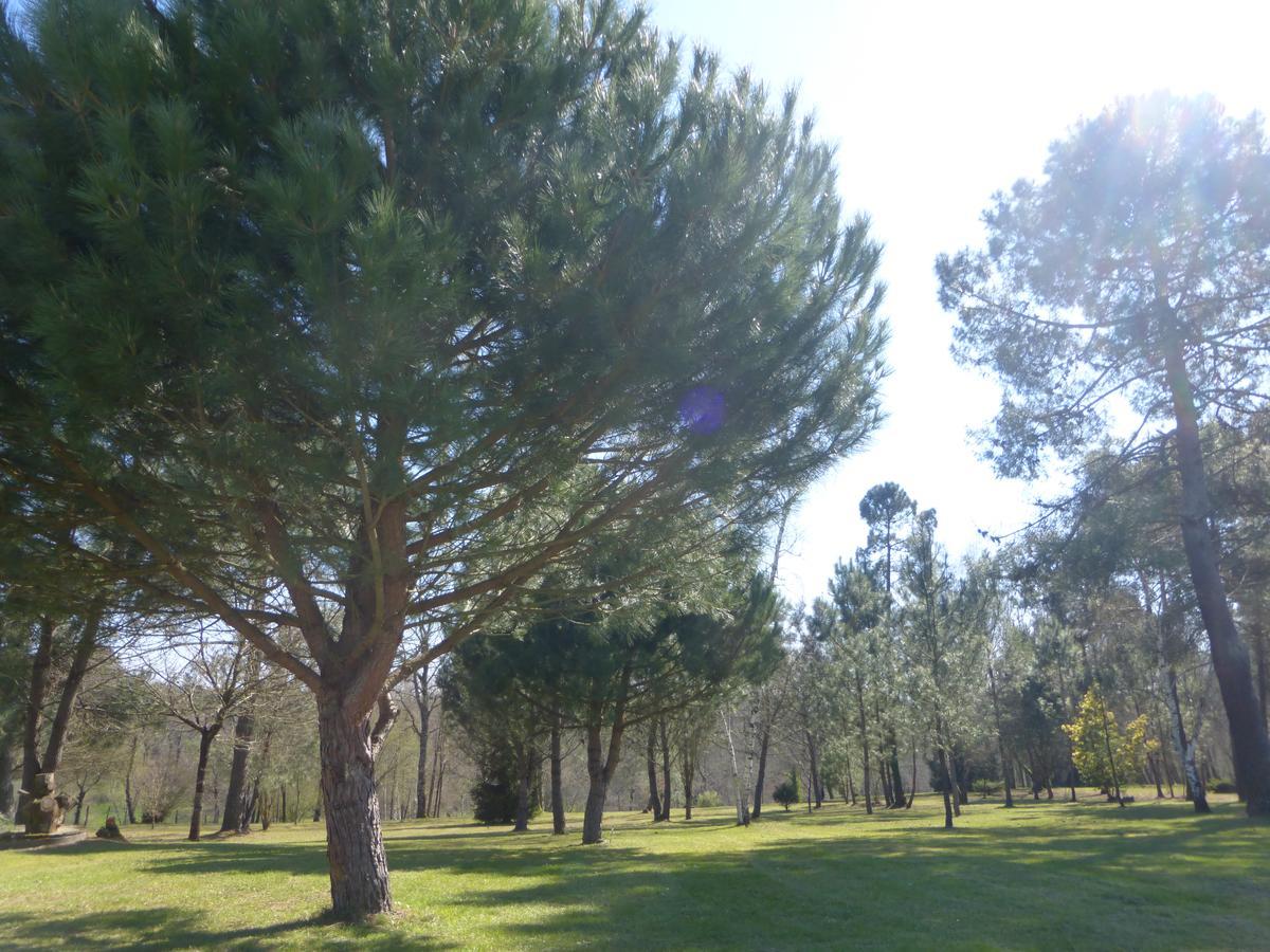 Gite Les Pins Perdus Saint-Ciers-d'Abzac Exteriör bild
